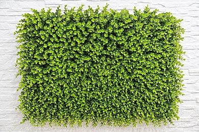 种瓜得瓜，种豆得豆：《百炼成钢》的种田和捕鱼更新在11月正式发售前到来了